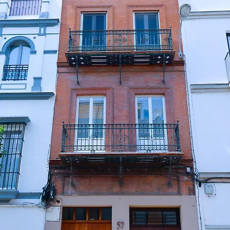 Monkeys Triana Castilla